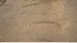 Photos of Egyptian Textures